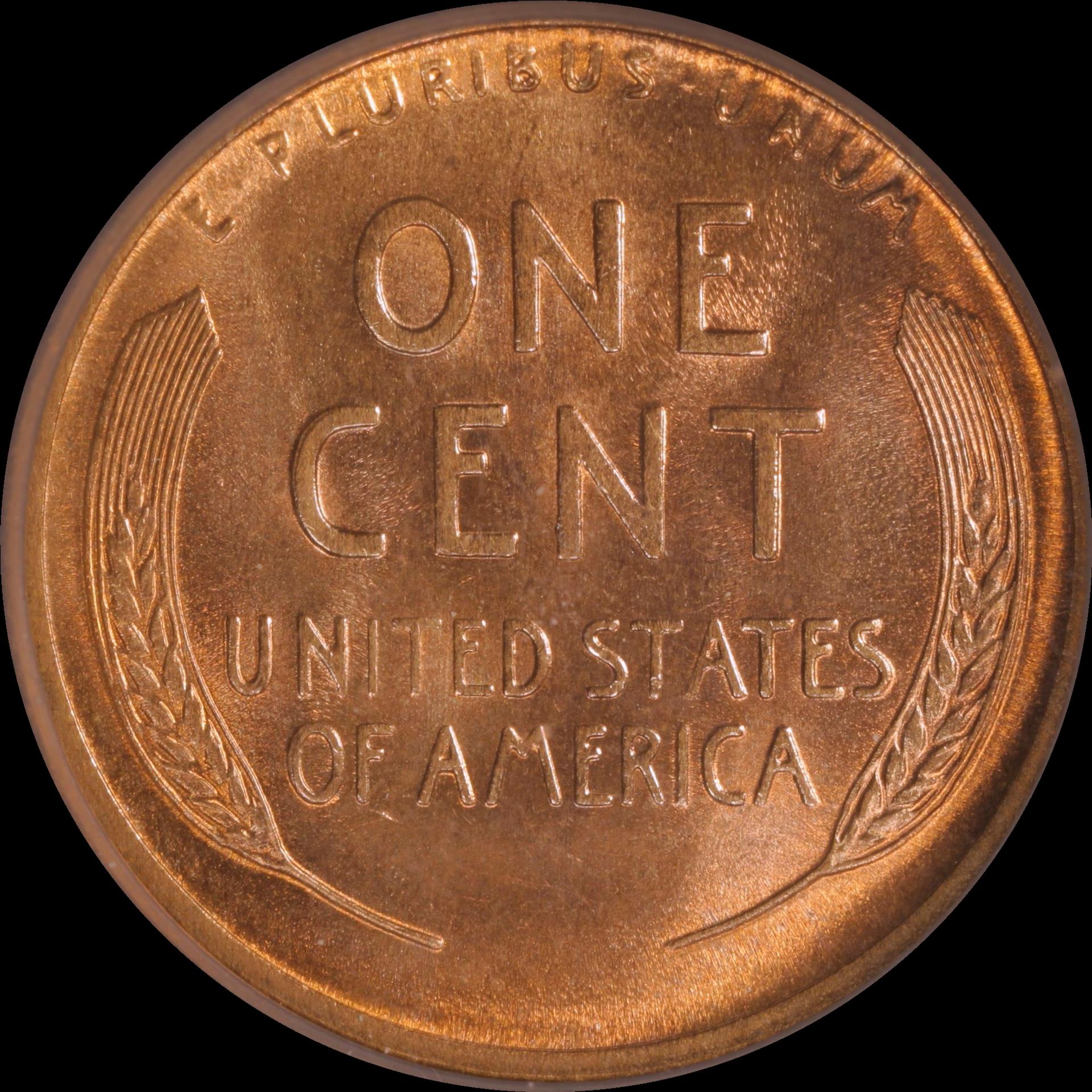 01c 1909-S #02 reverse 06.JPG