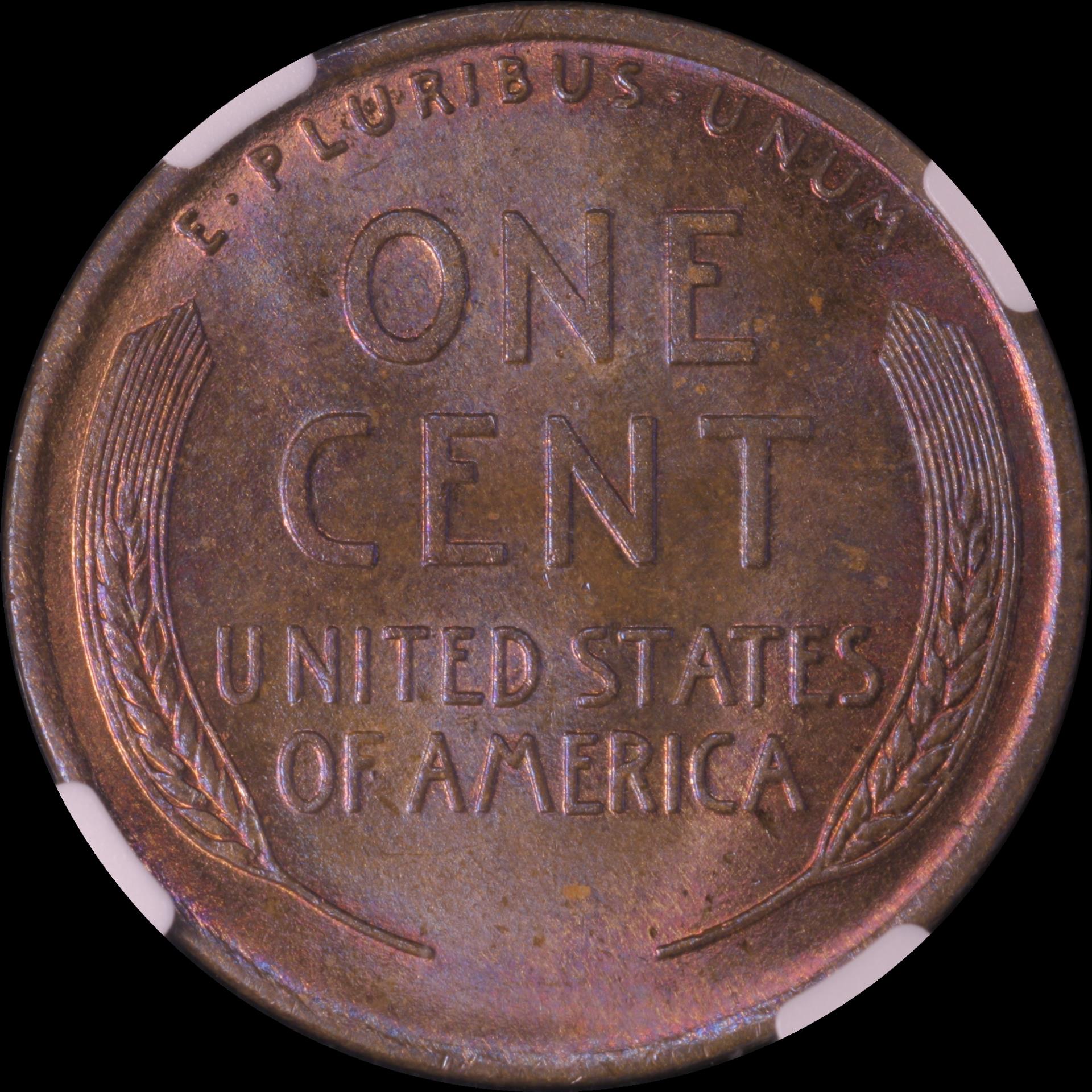 01c 1910 #06 reverse 04.JPG