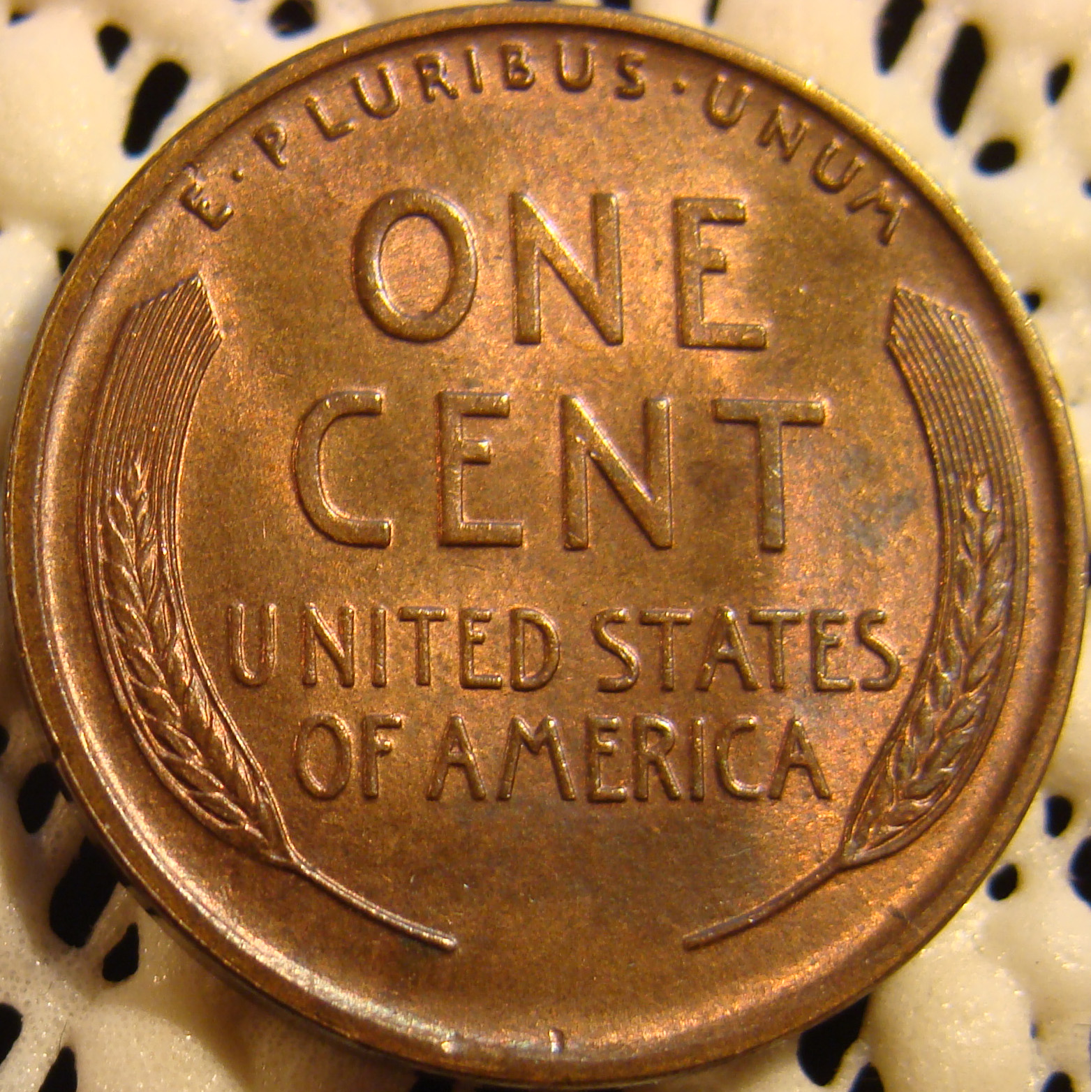 01c 1910 reverse 02.jpg