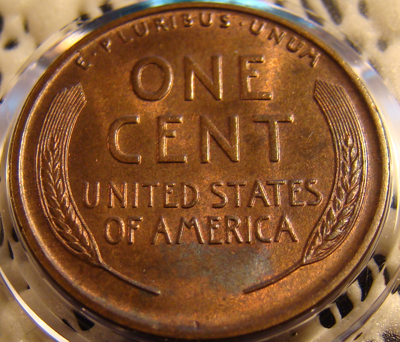 01c 1910 reverse 03.jpg