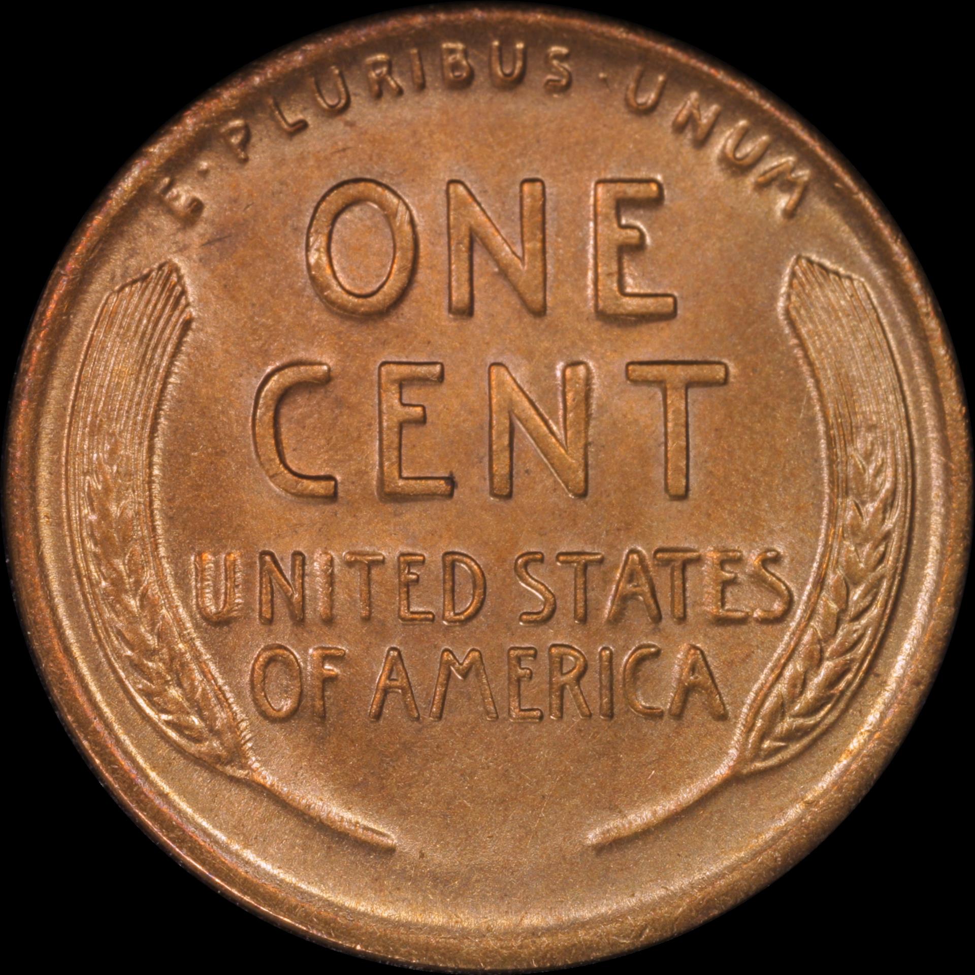 01c 1911-D #05 reverse 05.JPG