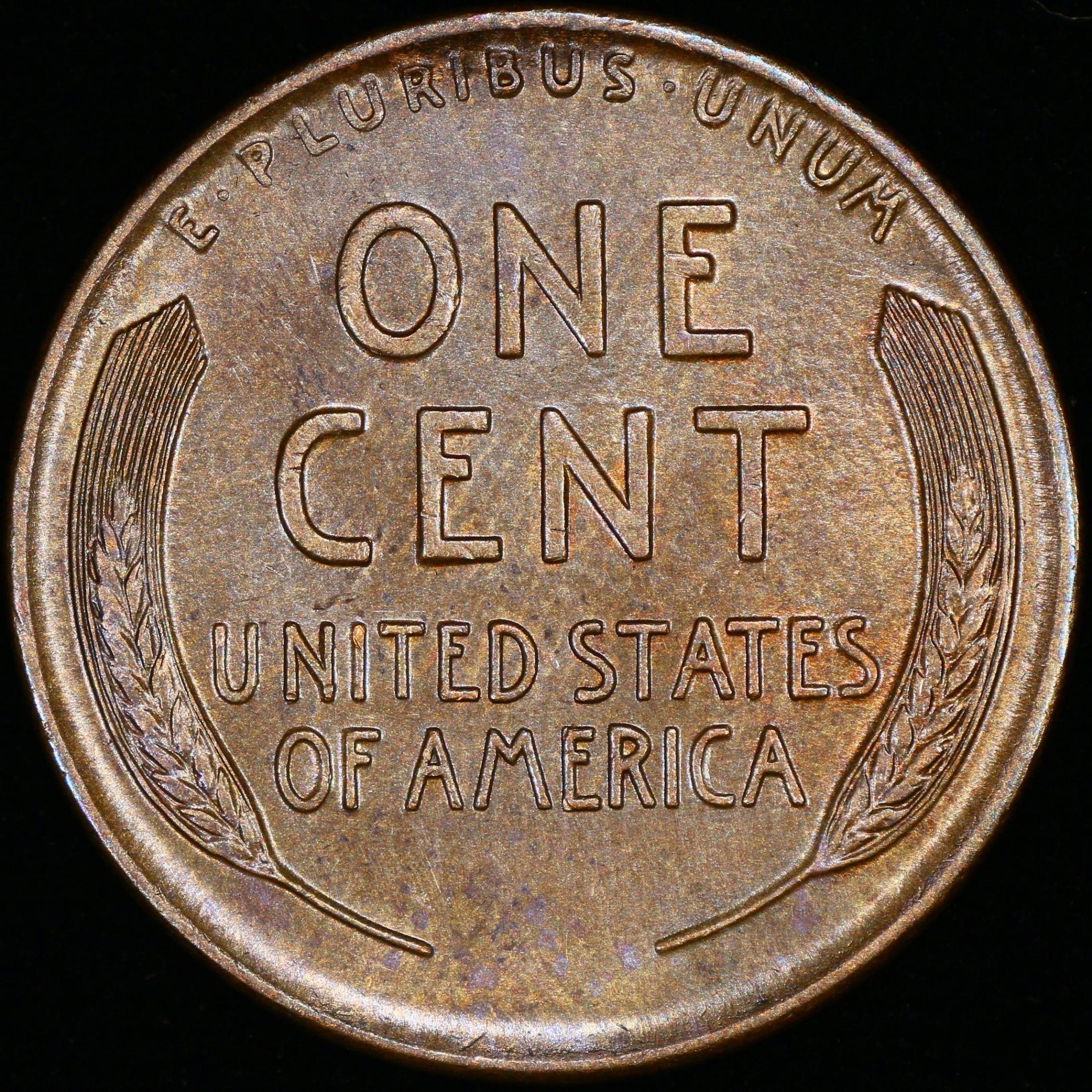01c 1913-D reverse 02.jpg