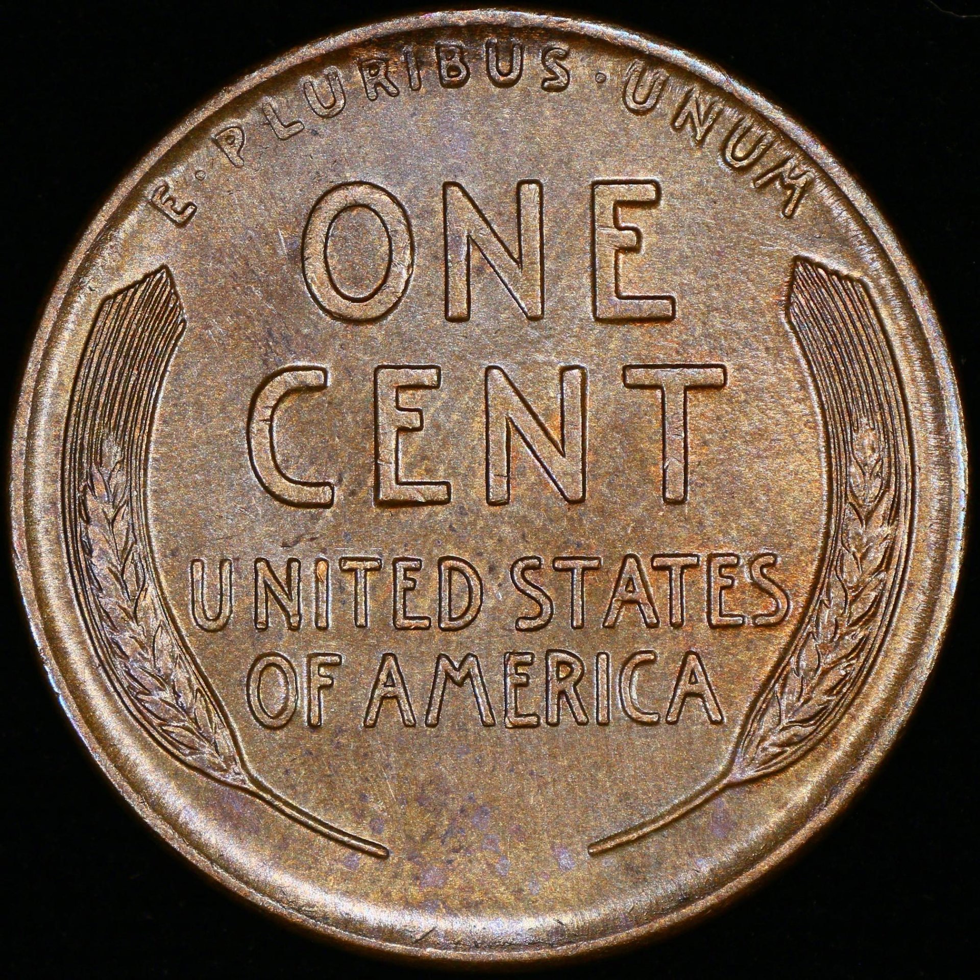 01c 1913-D reverse 02.jpg