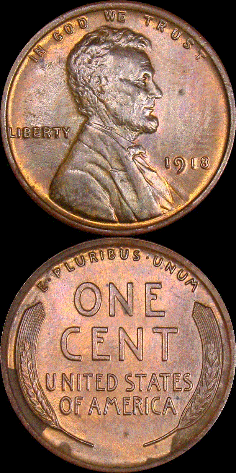 01c 1918 full 01v.gif