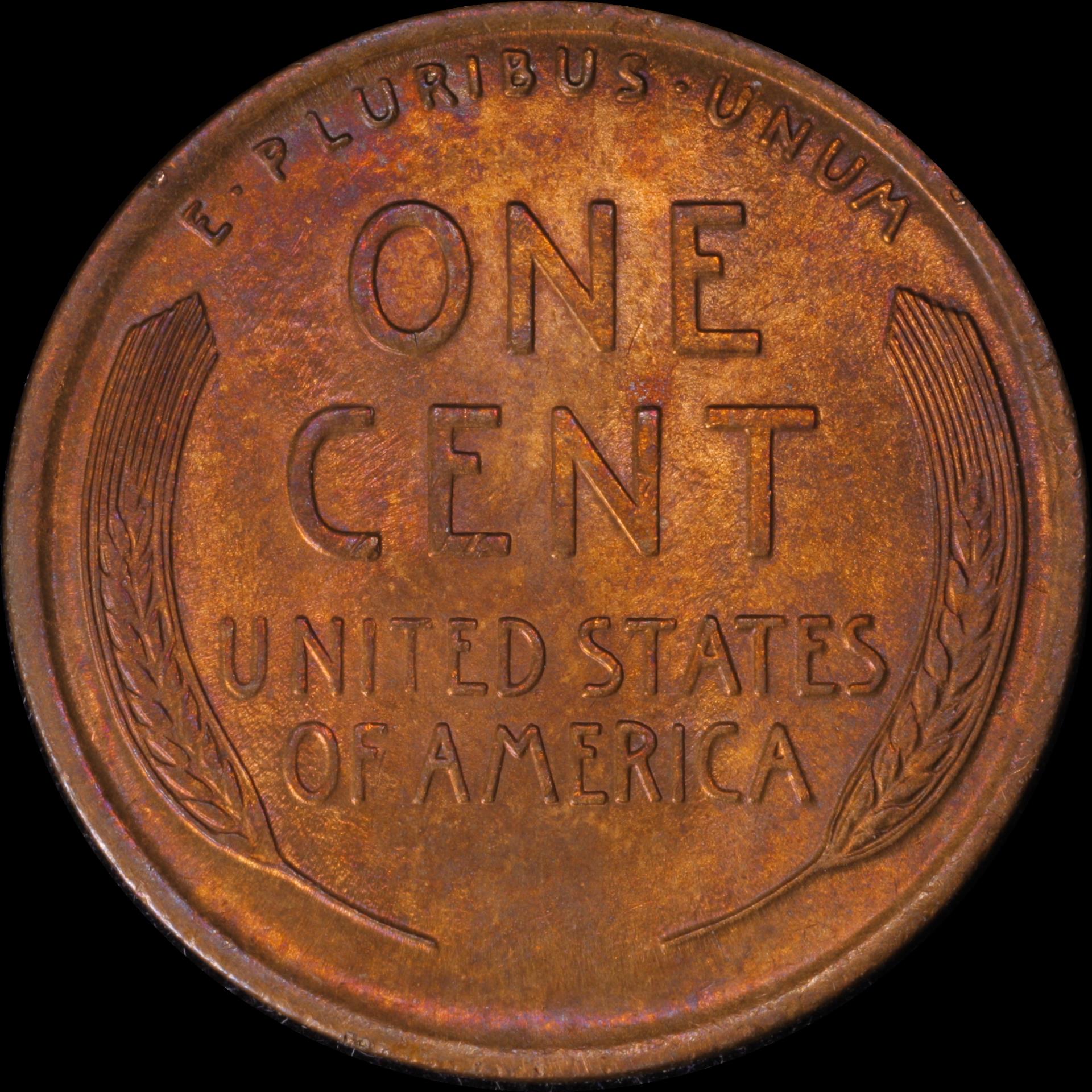 01c 1919 #05 reverse 06.JPG