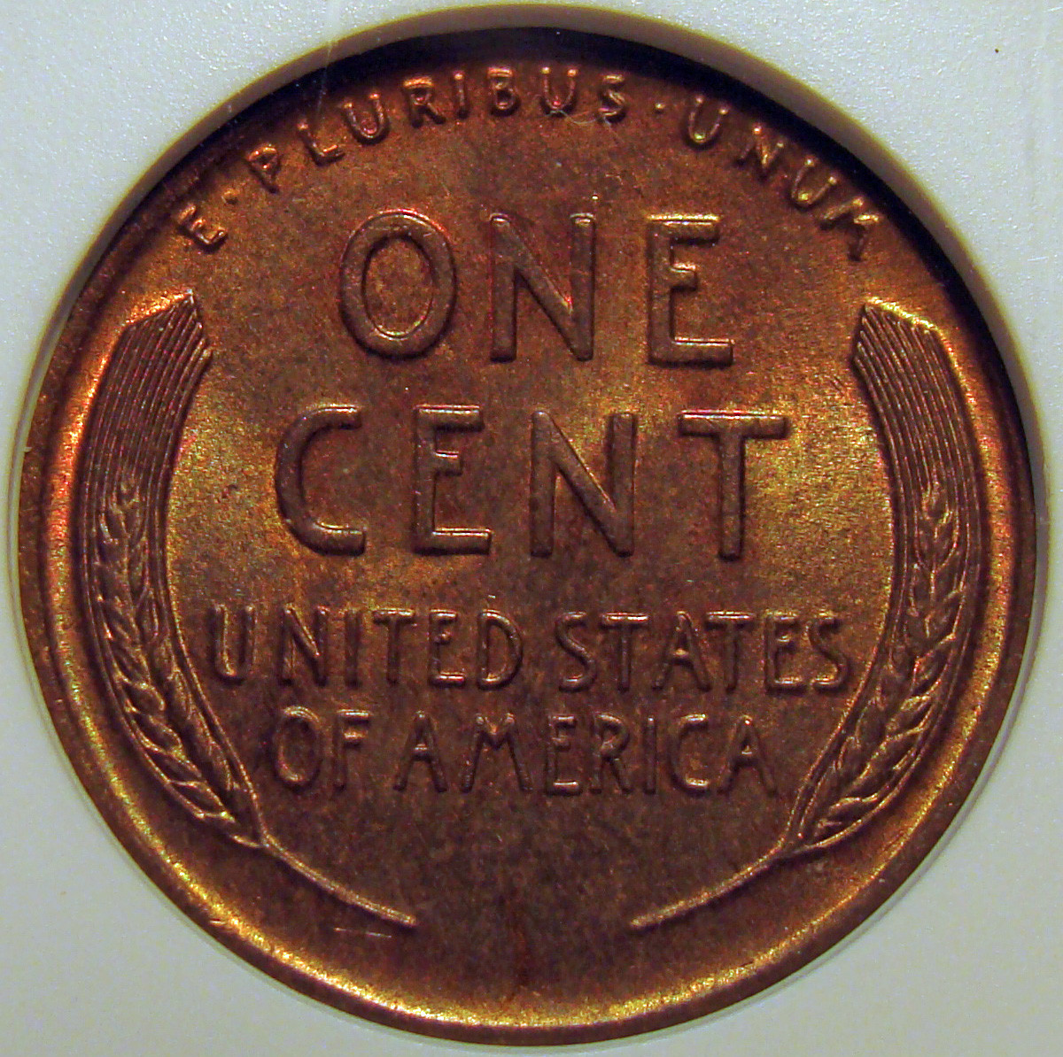 01c 1928 reverse 03.jpg