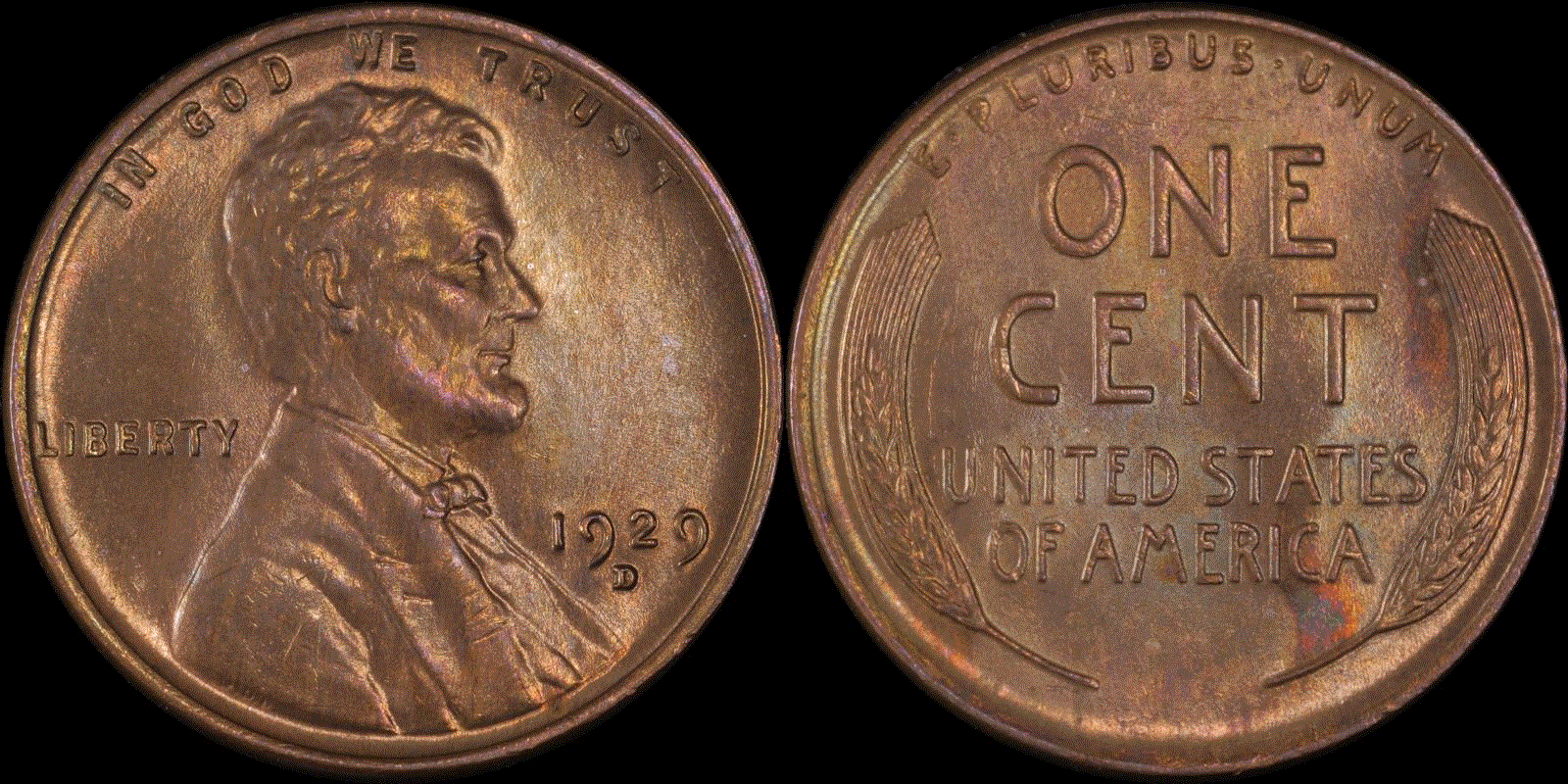 01c 1929-D full 01.gif
