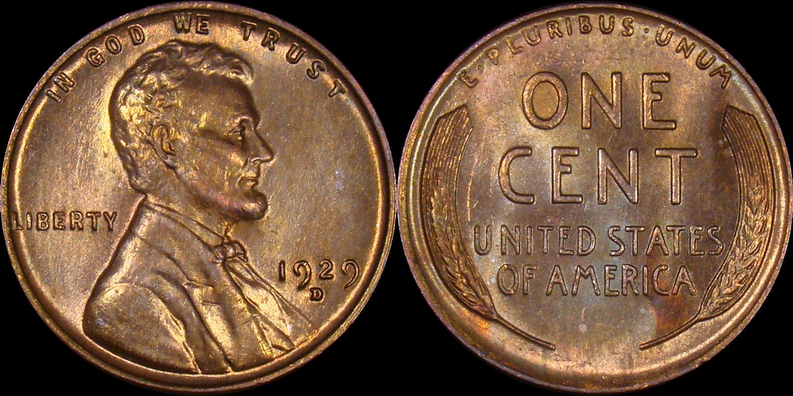 01c 1929-D full 01.gif