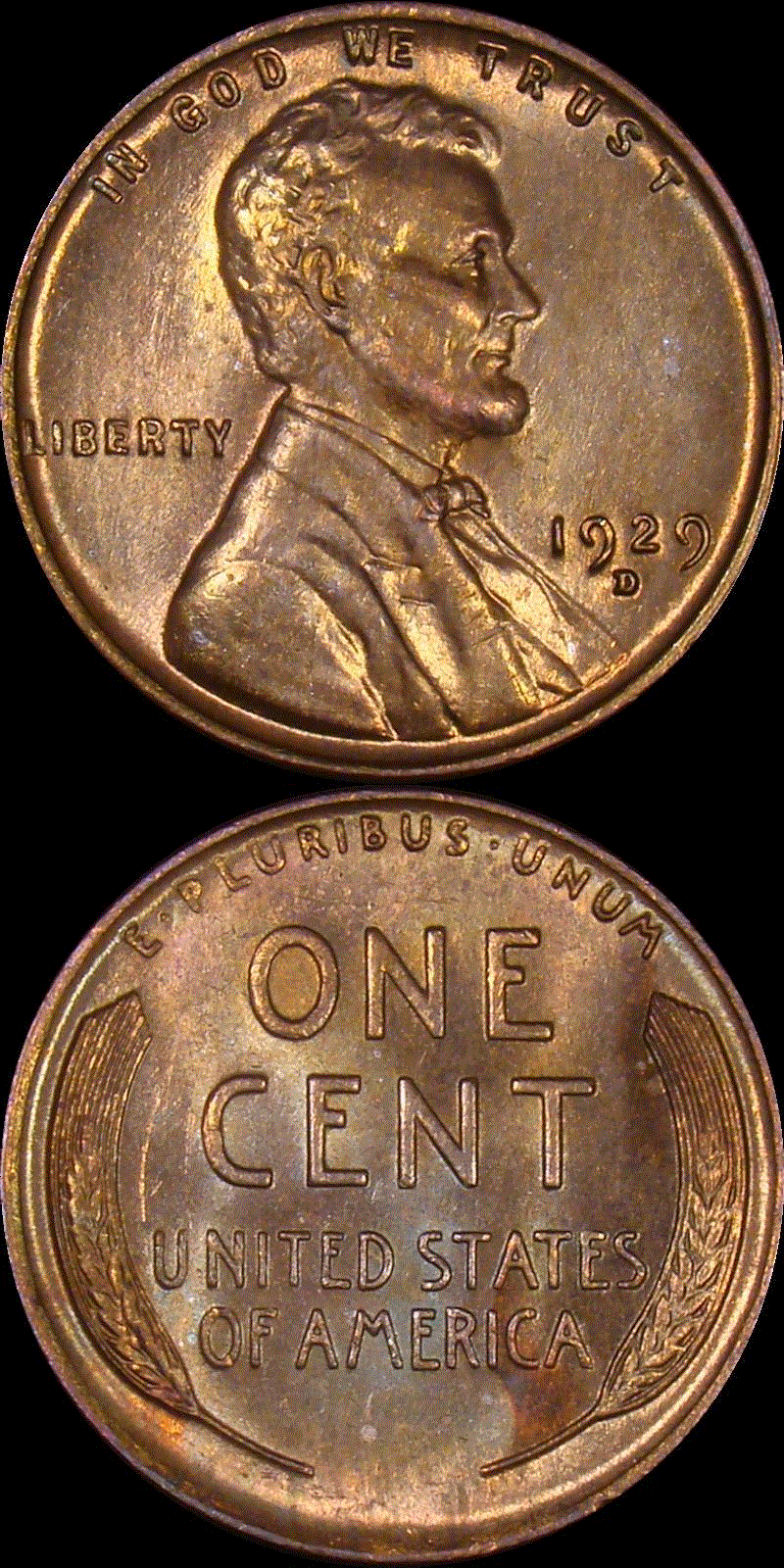 01c 1929-D full 01v.gif