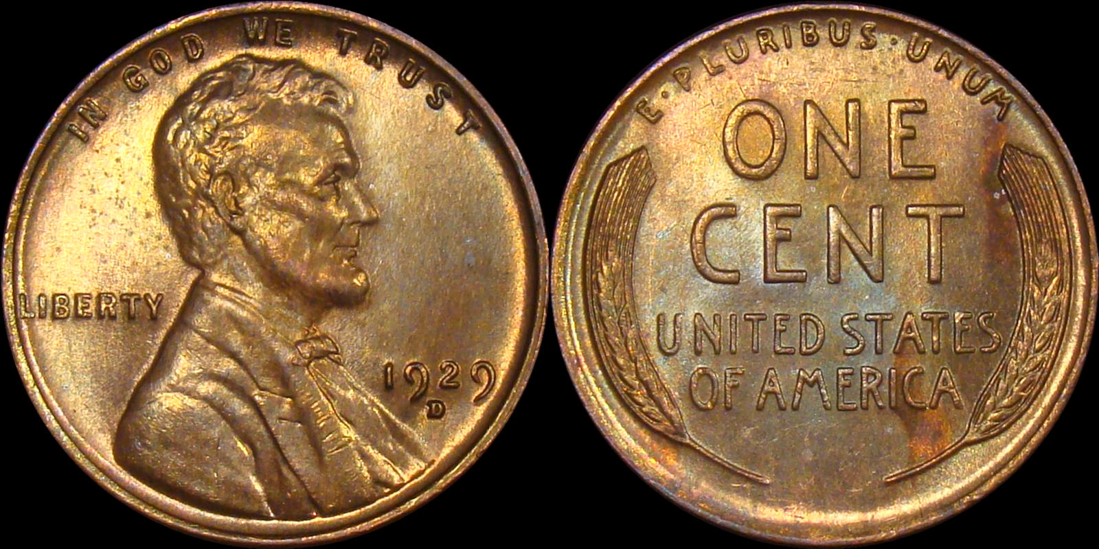 01c 1929-D full 03.jpg