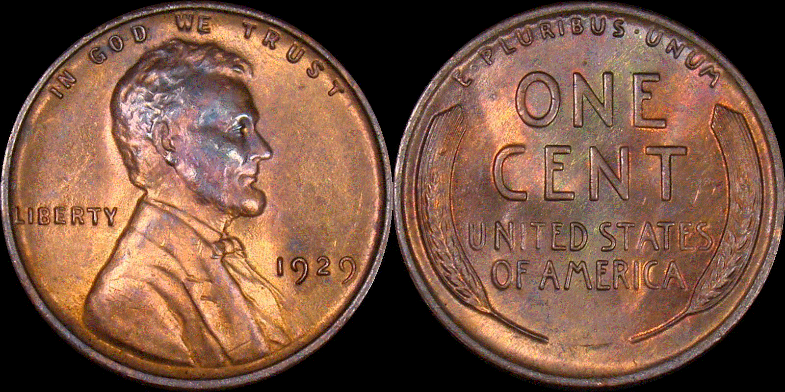 01c 1929 full 01.gif