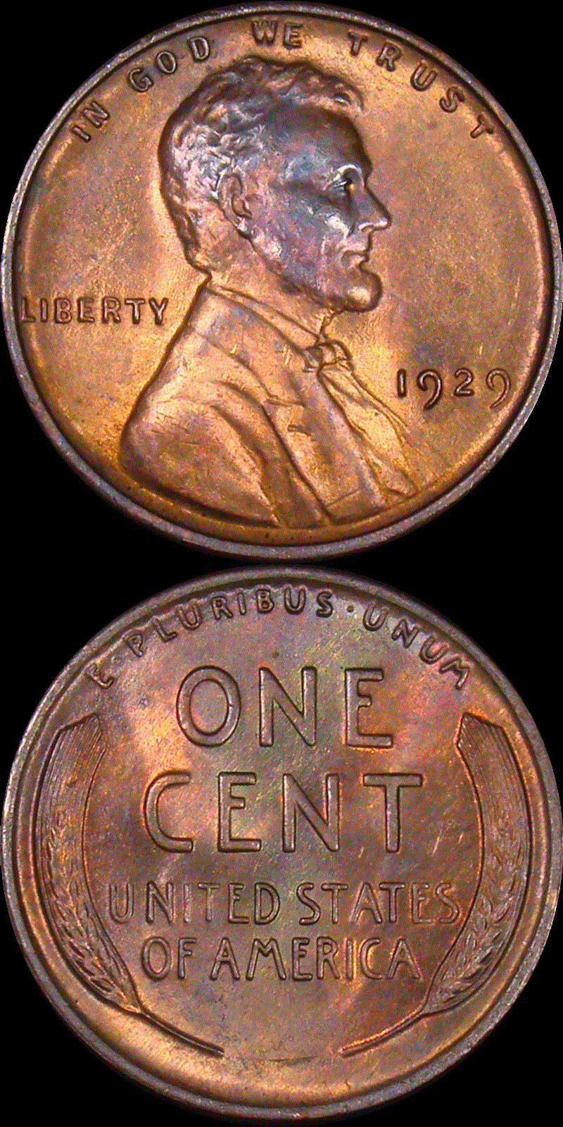 01c 1929 full 01v.gif