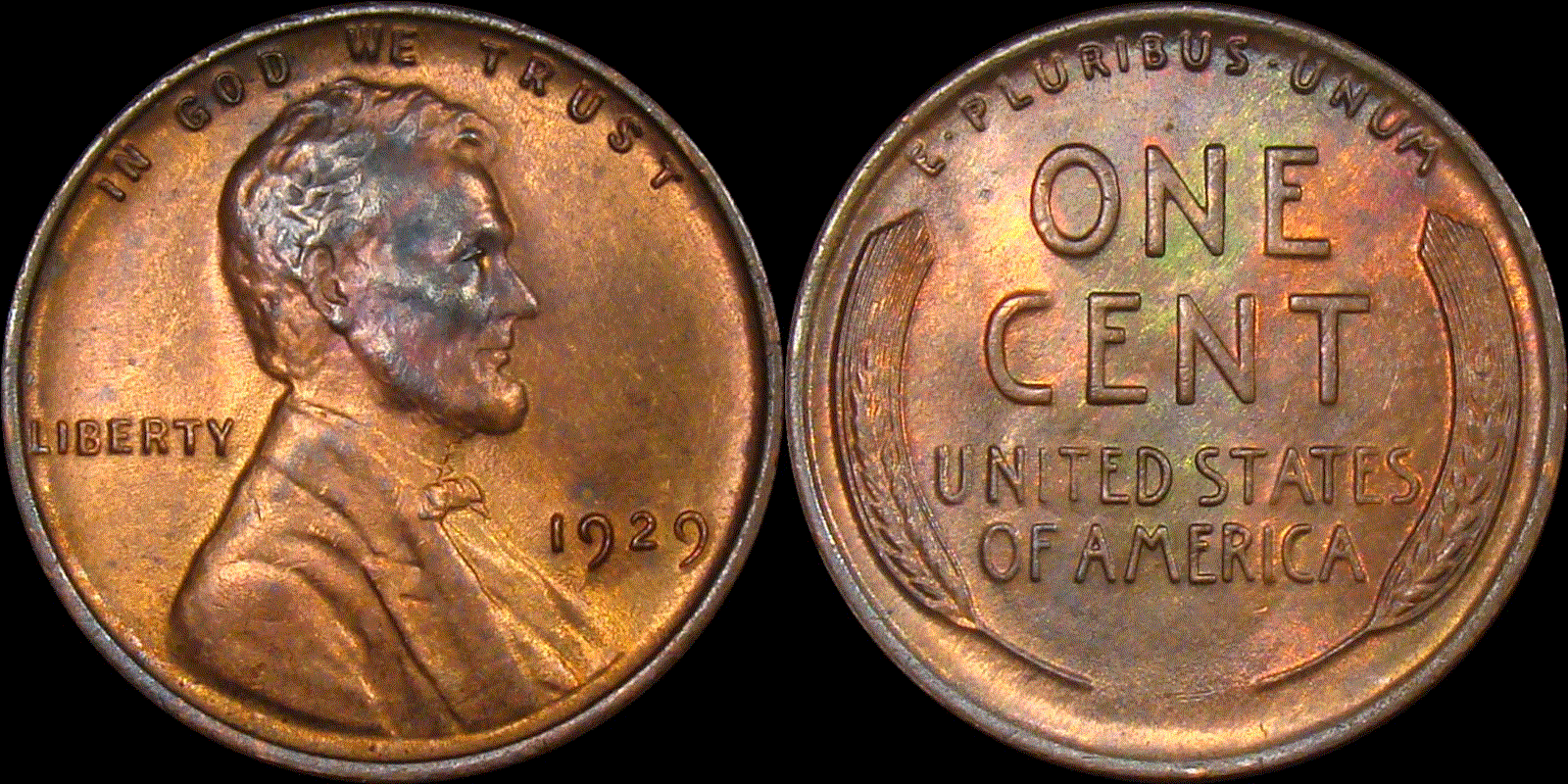 01c 1929 full 02.gif