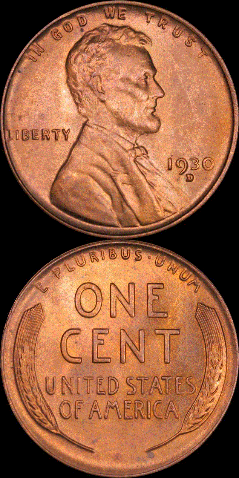 01c 1930-D full 01v.gif