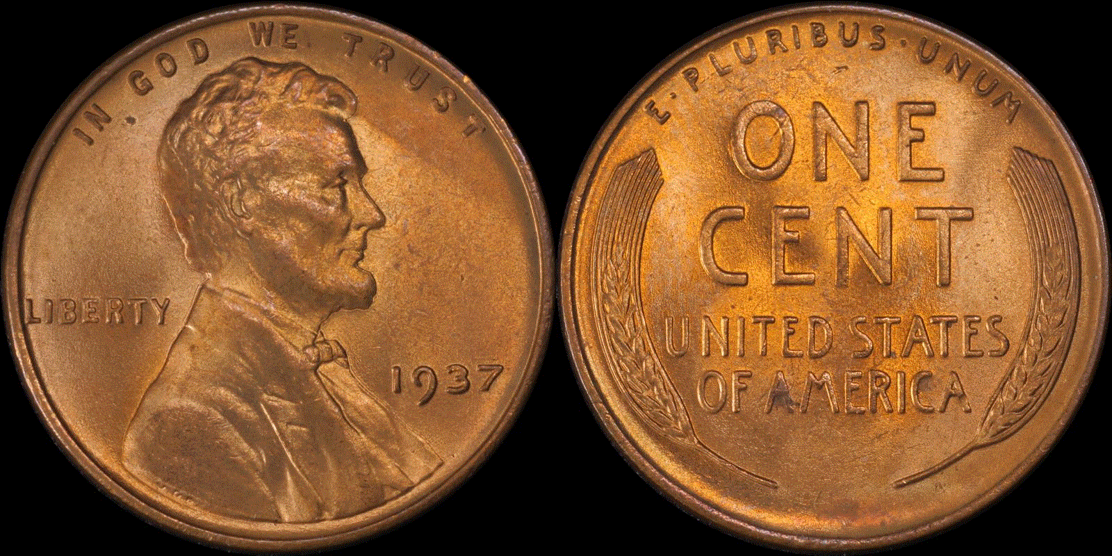 01c 1937 #02 full 01.gif