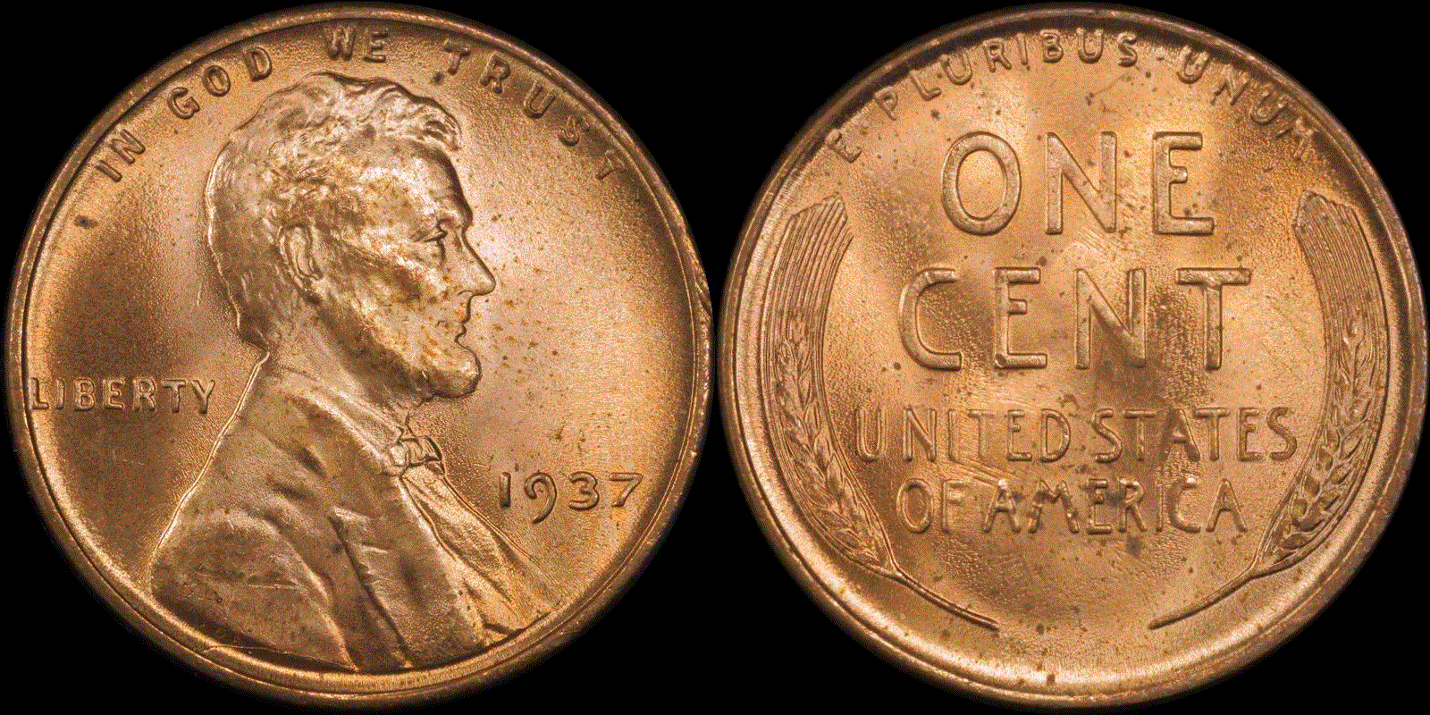 01c 1937 #02 full 01.gif