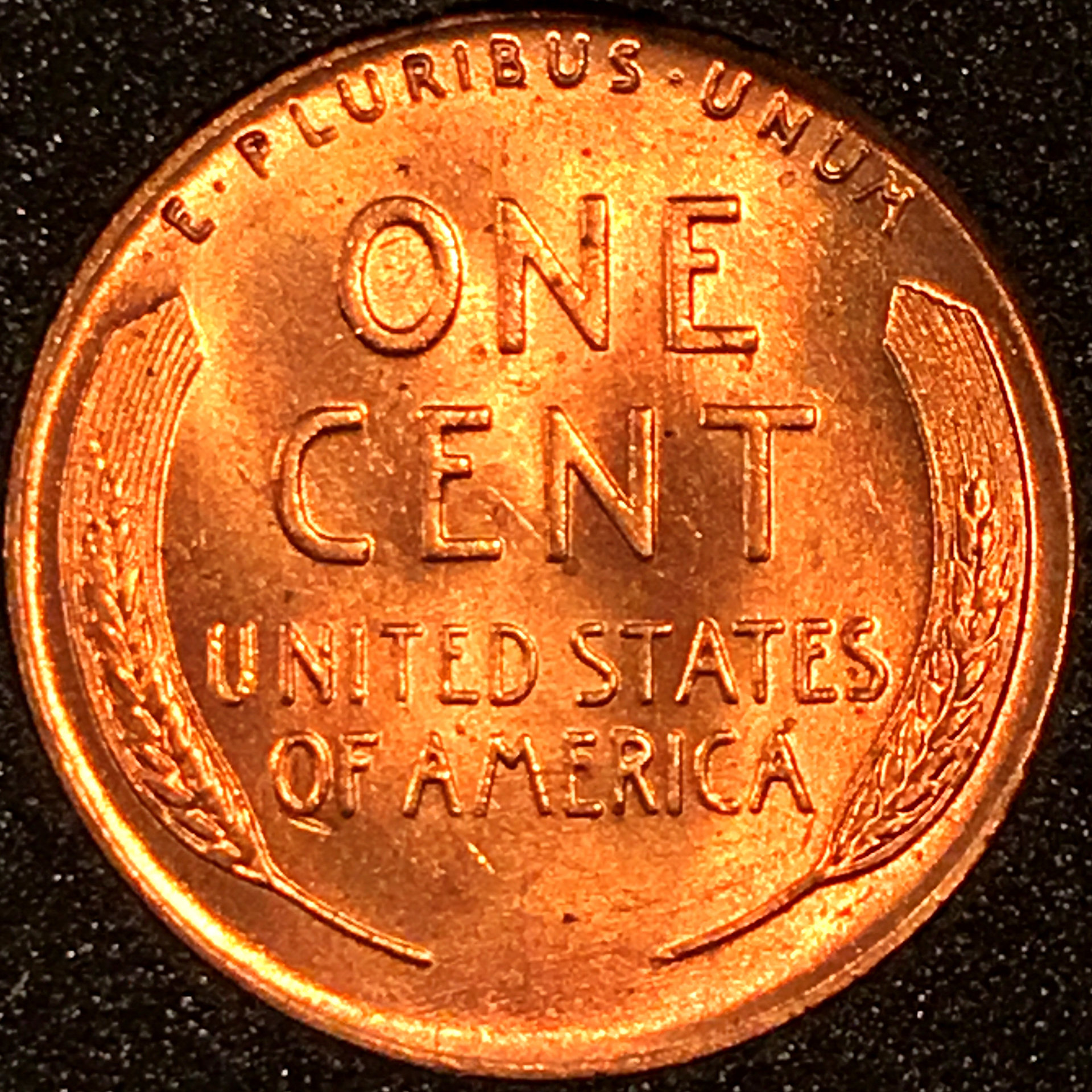 01c 1951 reverse 01.JPG