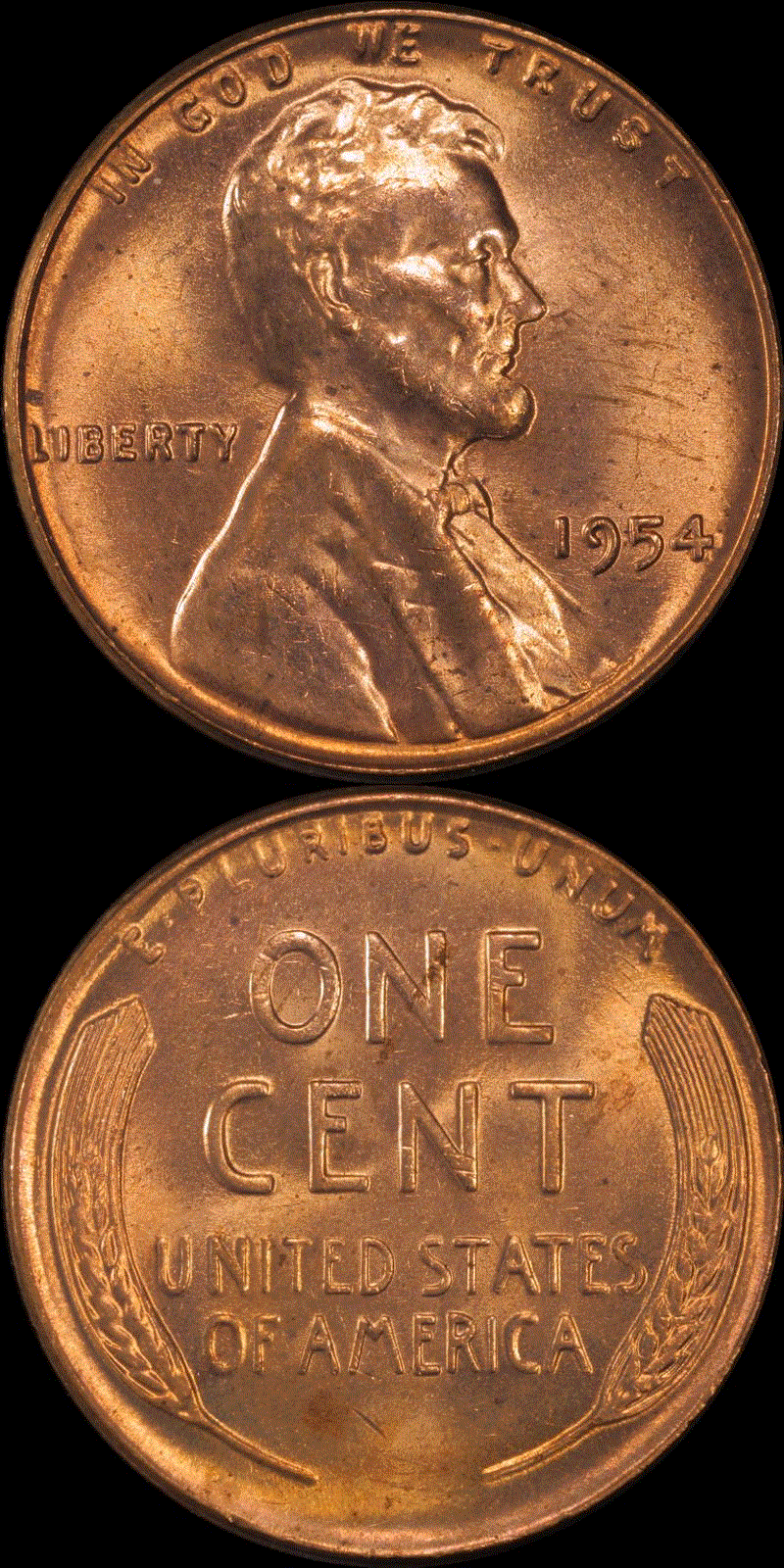 01c 1954 full 01.gif