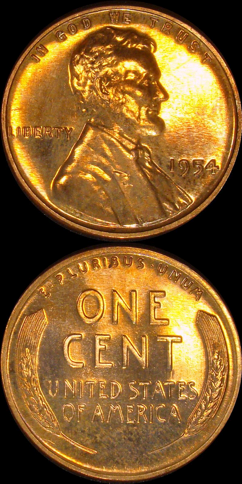 01c 1954 PF full 01v.gif