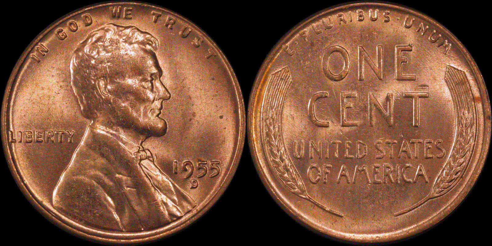 01c 1955-D full 01.gif