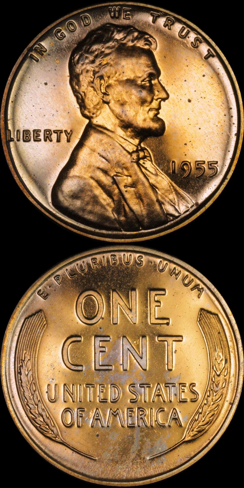 01c 1955 PF #01 full 01v.gif