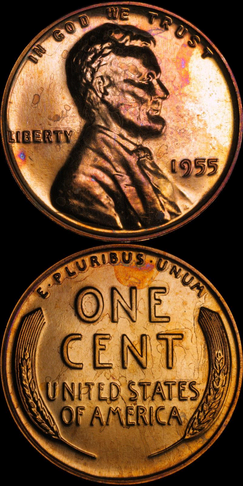 01c 1955 PF #02 full 01v.gif