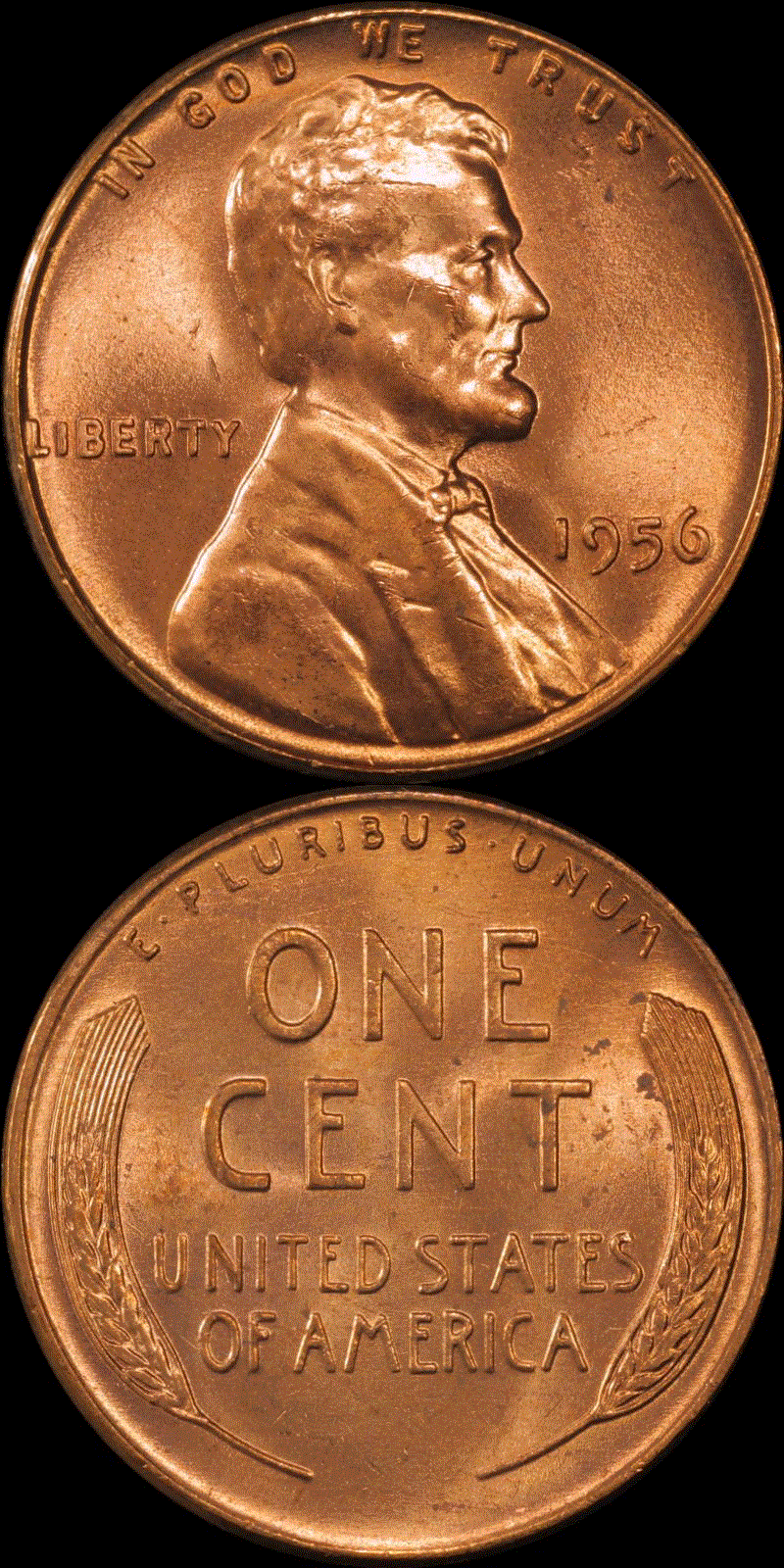 01c 1956 full 01.gif