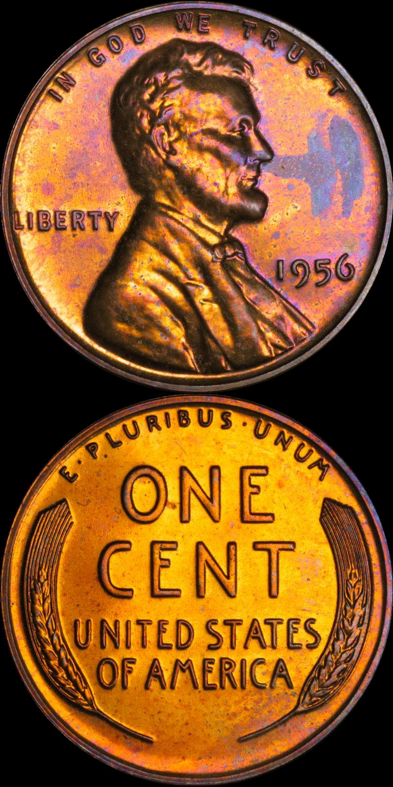 01c 1956 PF #01 full 01v.gif