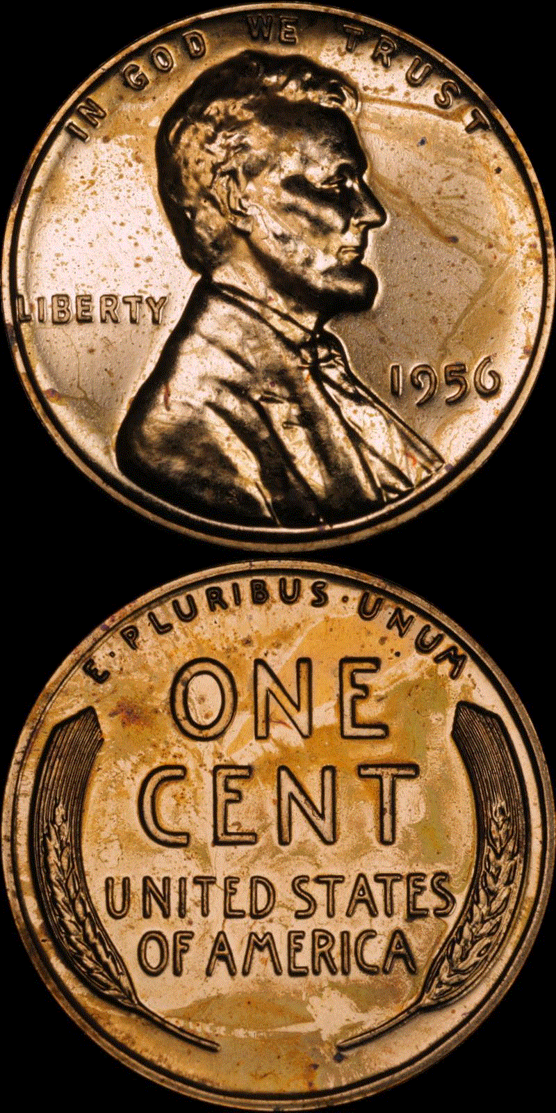 01c 1956 PF #02 full 01.gif