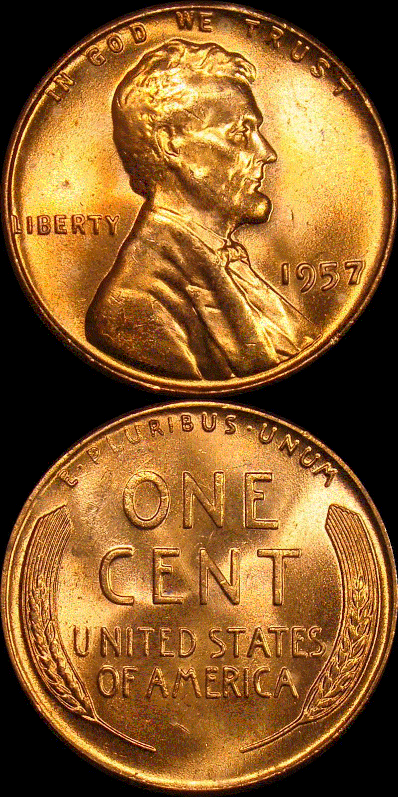 01c 1957 full 01v.gif