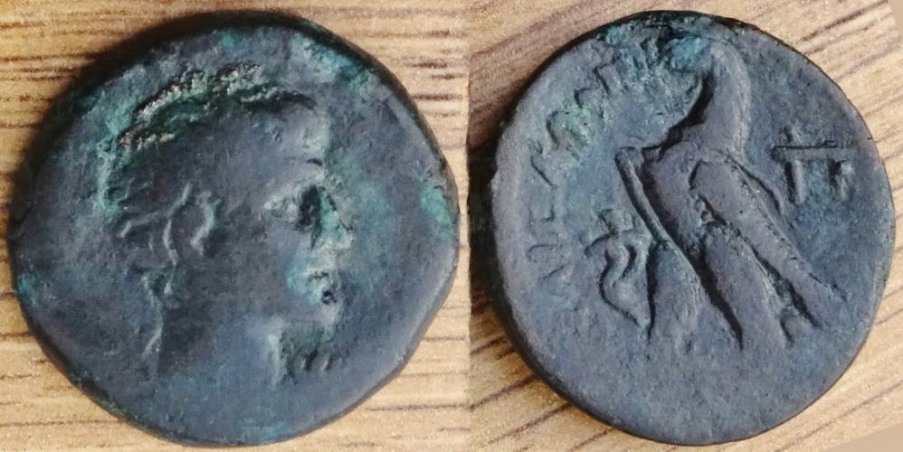 02----Augustus  Egp  15'6.jpg