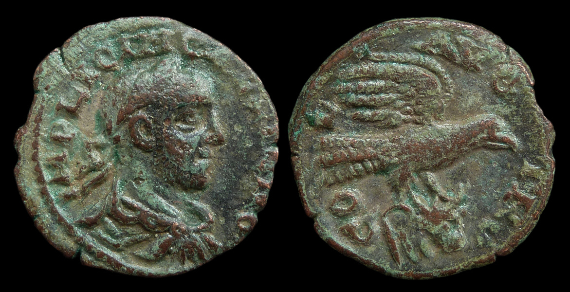 02 Gallienus - Alexandria Troas Eagle.jpg