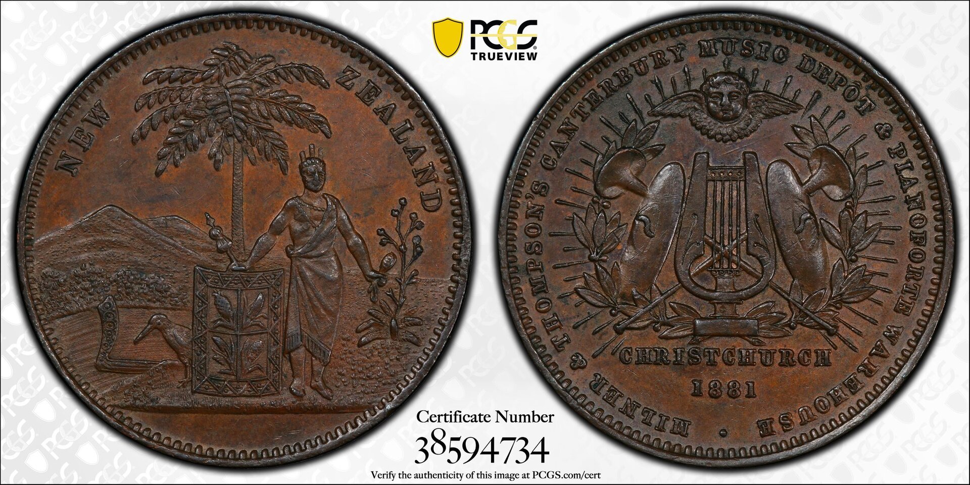 02-NZtoken-TrueView.jpg