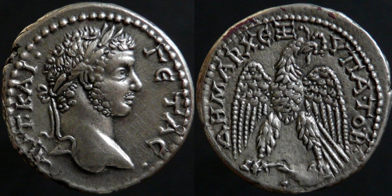 0200-410-0209.jpg