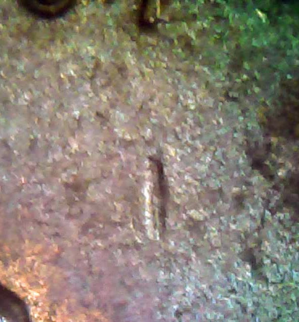 0204-10.jpg