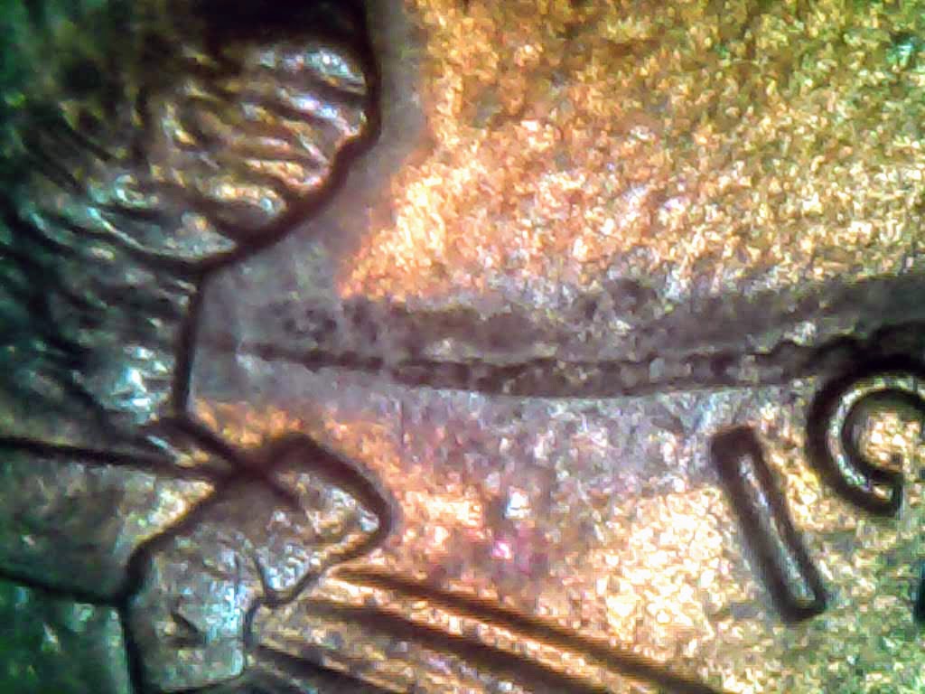 0207-11.jpg