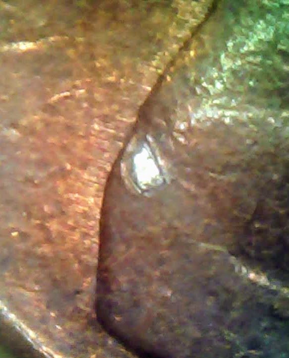 0207-15.jpg