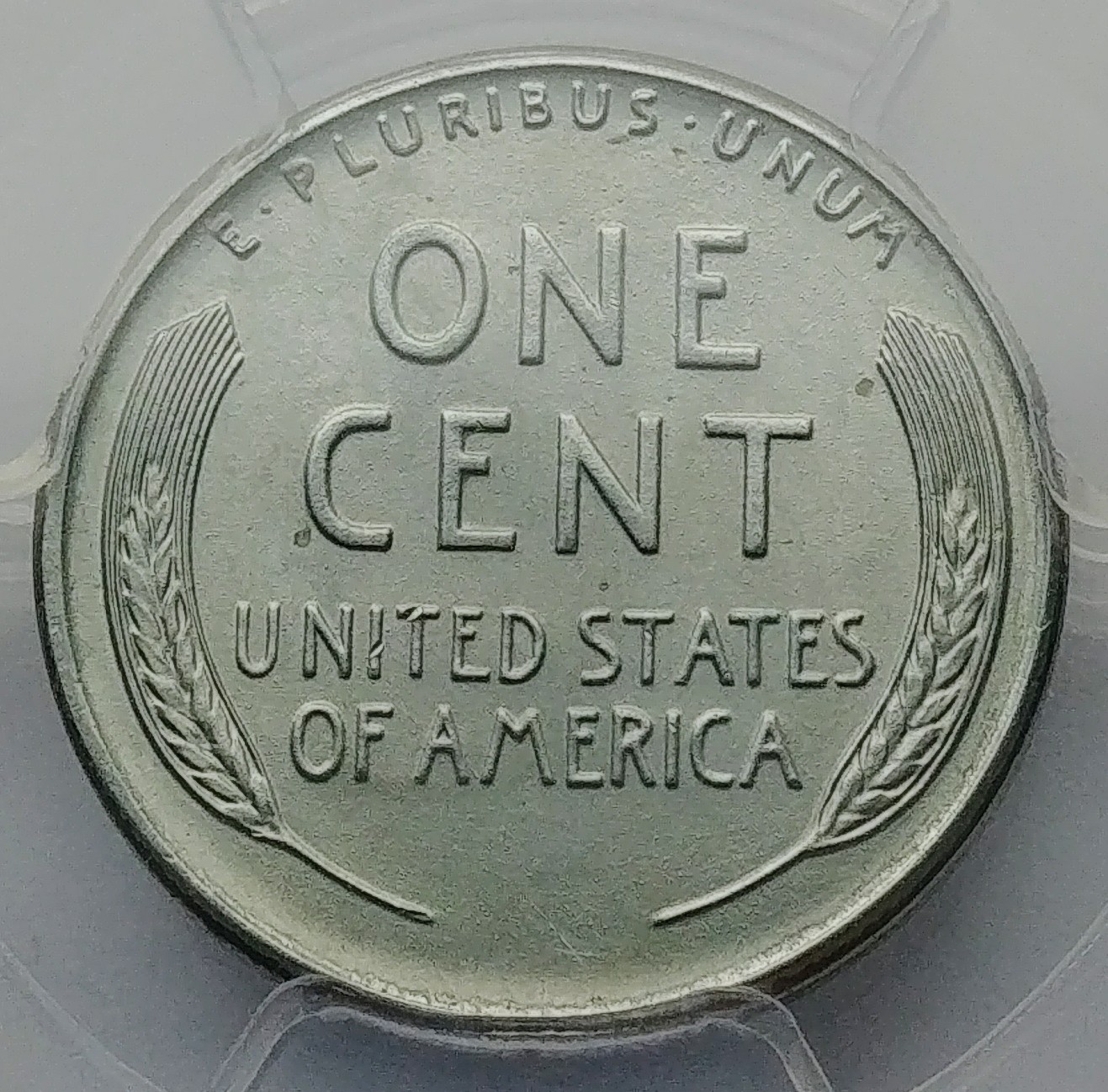 0210181244a.jpg