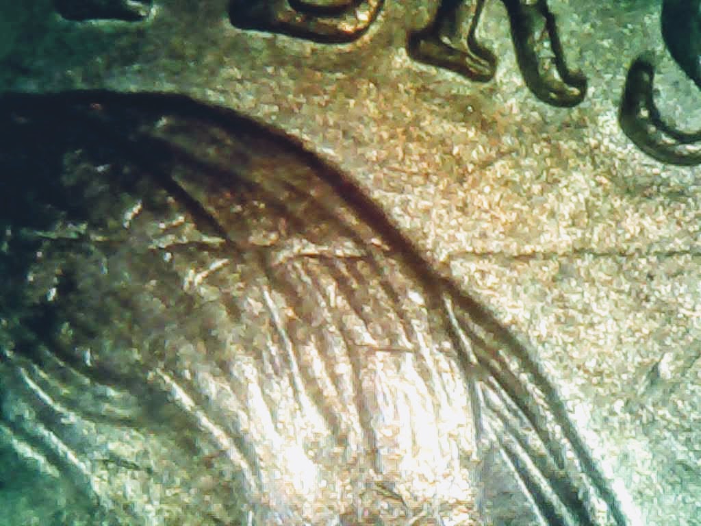 0211-2.jpg