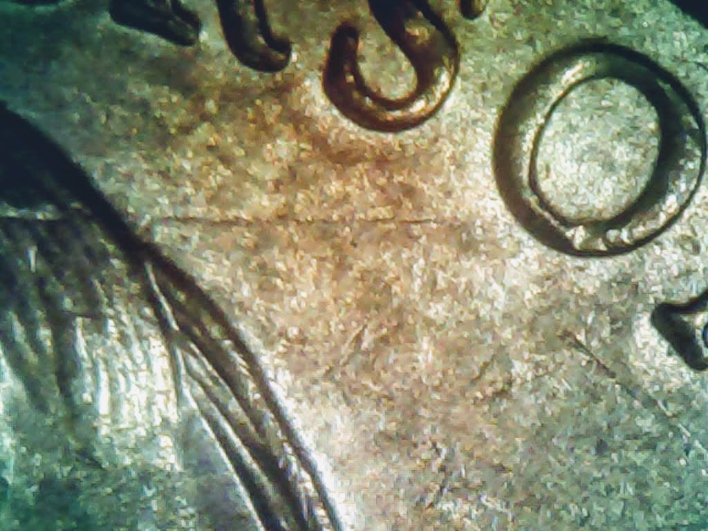 0211-3.jpg