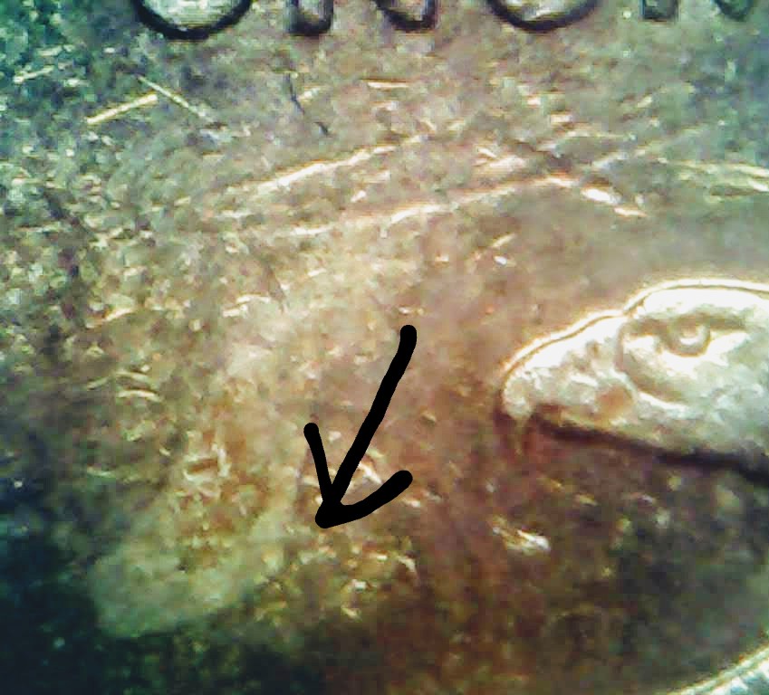 0212-3~2.jpg