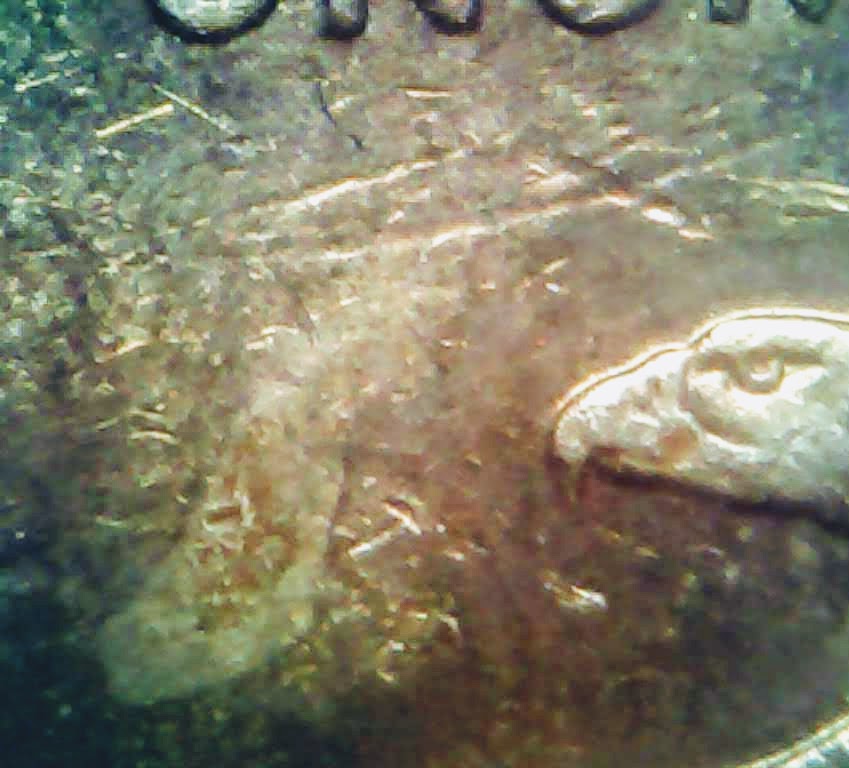 0212-3.jpg