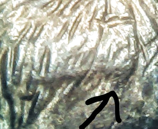 0212-7~2.jpg