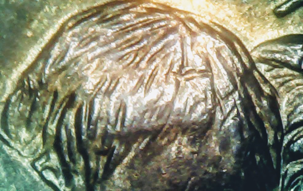 0212-7.jpg