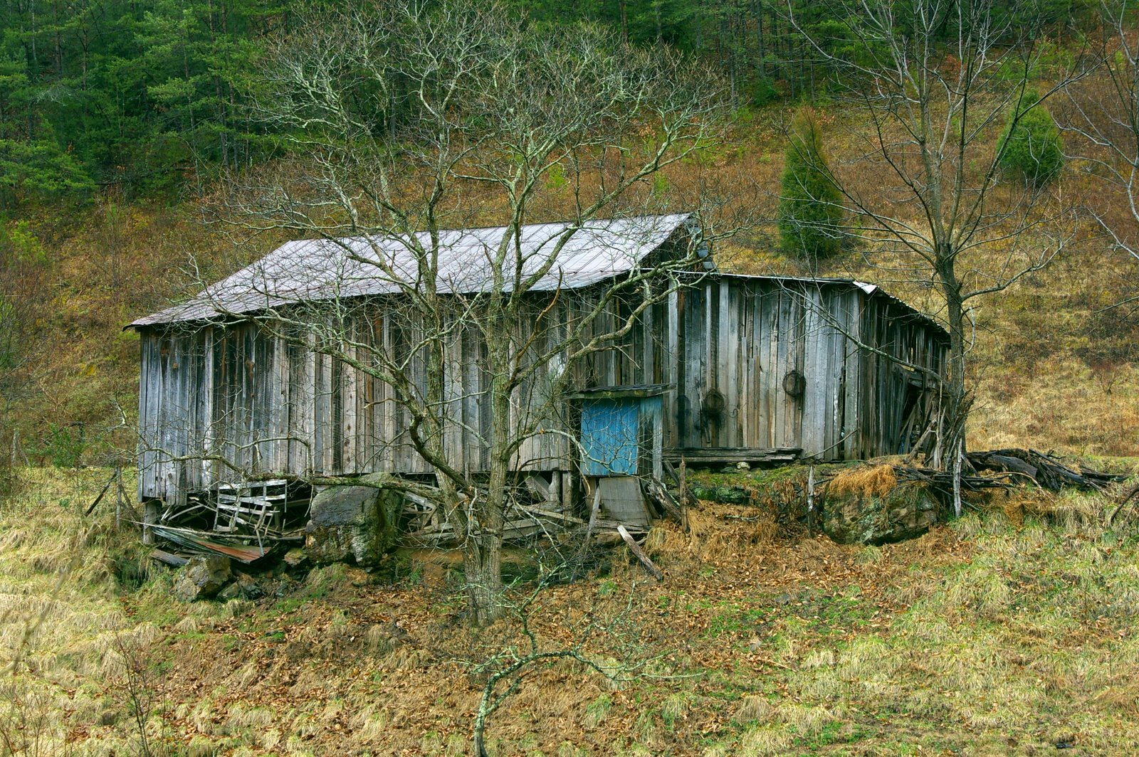 021269E6-5908-4EAB-9427-C95CFB83458E.jpeg