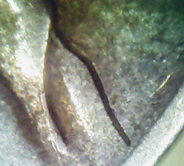 0216_1.jpg