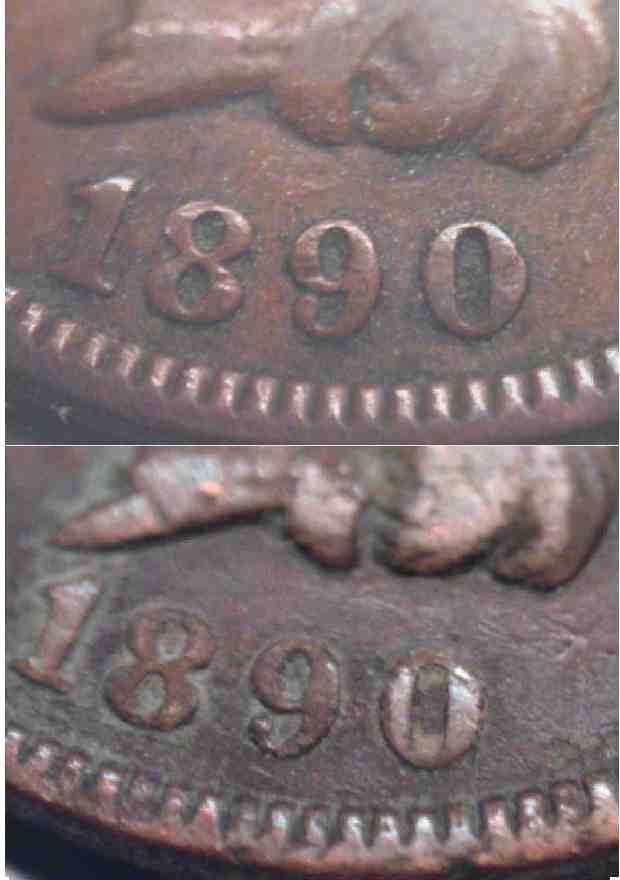 021890 1C.jpg