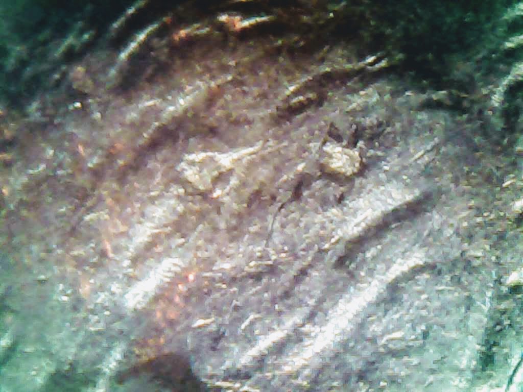 0219-10.jpg
