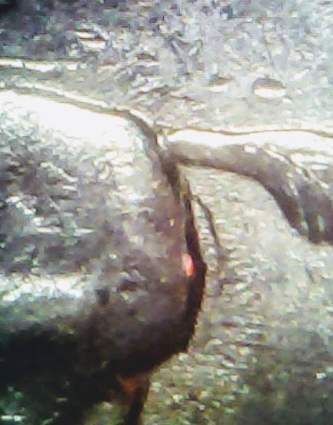 0219-11.jpg