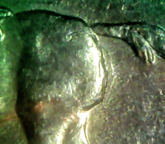 0219-15.jpg